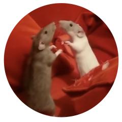 WINNY & WANDA EP