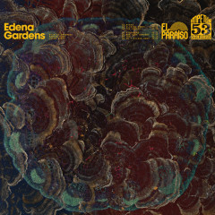 Dens LP