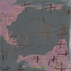 Michal Turtle Reinterpreted