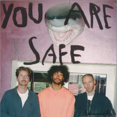 You Are Safe 2x12"
