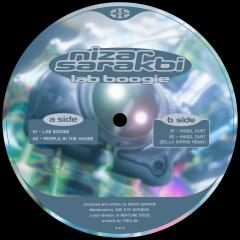 Lab Boogie