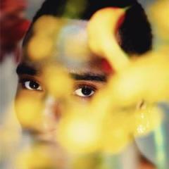BLOOM LP 2x12"