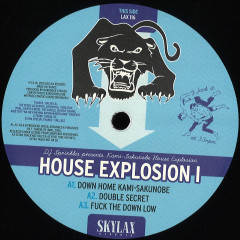 House Explosion 1