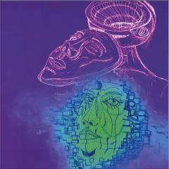 Social Memory Complex