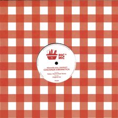 Coscienza Cibernetica