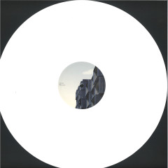 Shape The Future 2x12"