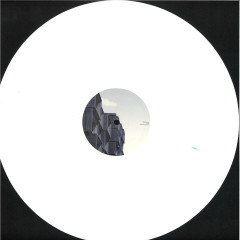 Shape The Future 2x12"