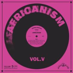 AFRICANISM V LP 2x12"