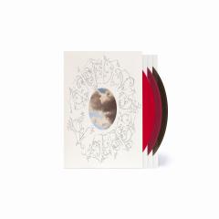 The Divine Feminine 10th Anniversary (3x12")