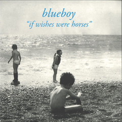 If Wishes Were Horses