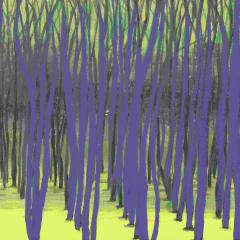 Rooted EP