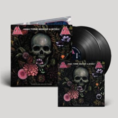 Lifecycles LP 2x12"