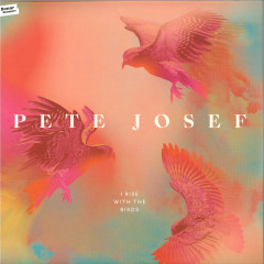 I Rise With The Birds