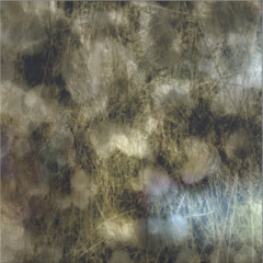 Sleepwalker 2x12"