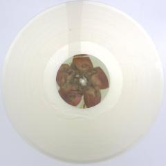 Pylon LP