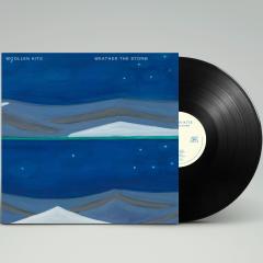 WEATHER THE STORM LP