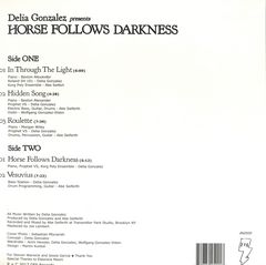 Horse Follows Darkness LP 2x12"