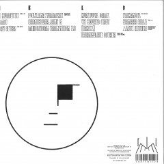 Poly-ana LP 2x12"