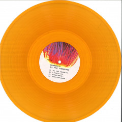 All That Fiberglass LP 2X12"