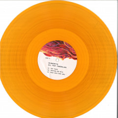 All That Fiberglass LP 2X12"