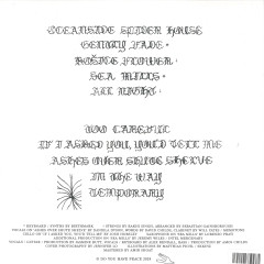A Soft and Gatherable Star LP
