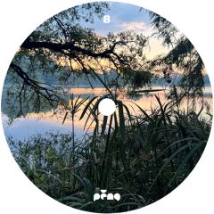 The Rhythm Of Nature LP