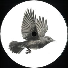 Edit Piaf 05