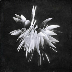New Morning Howl LP
