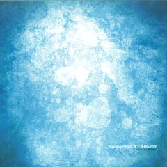 The Bird And White Noise