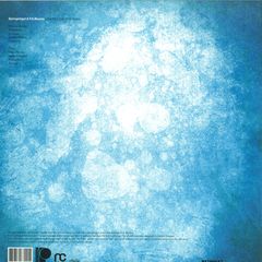 The Bird And White Noise