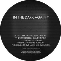 In The Dark Again 14