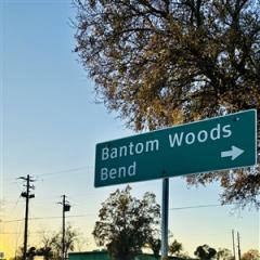 BEND