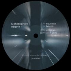Rebirth EP