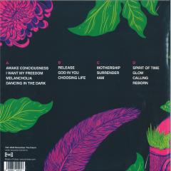 Dreams of the Machine LP