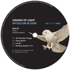 Mycelium Bloom LP