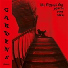 THE BIGGEST DOG YOU'VE EVER SEEN EP (TAPE)