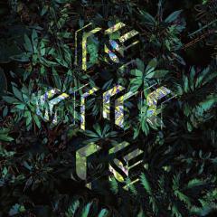 Is With Us LP