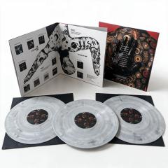 The Skin of Time LP 3x12"