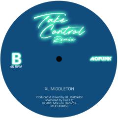 Indeed Indeed / Take Control Remix 7"