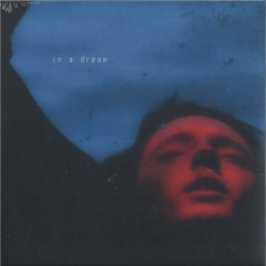 In A Dream LP