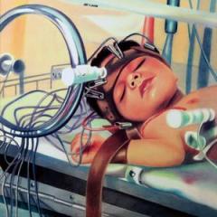 AGNETA NILSSON(HELDON IV)