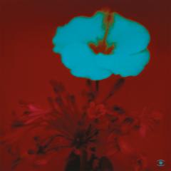 Sunrise And The Way We Live (LP 2x12")