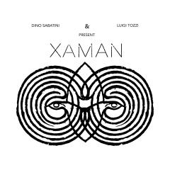 XAMAN 2x12"