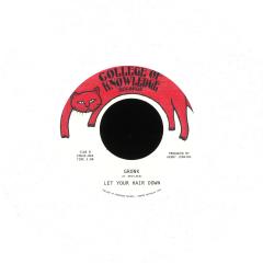Pingu's Anthem / Gronk (7")