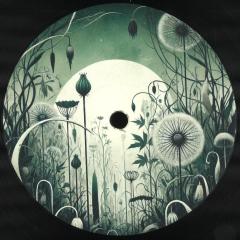 Le Piante di Elena