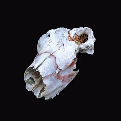 LP- untitled - circa 2014