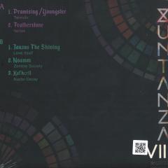 Xuntanza Vol. VIII
