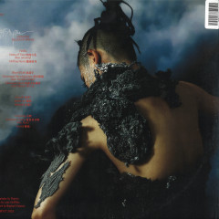 Holes of Sinian LP 2x12"