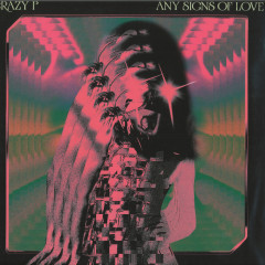 ANY SIGNS OF LOVE LP 2x12"