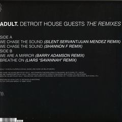 Detroit House Guests: The Remixes